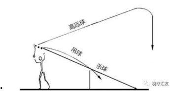 击球手三视图爆料视频大全,全方位解析运动美学与科技融合  第1张